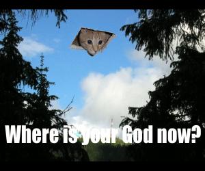 Ceiling/god cat