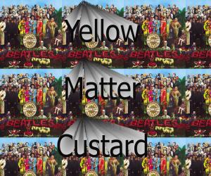 yellow matter custard art