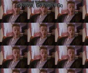 vanilla ice go ninja