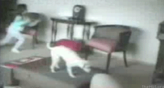 75ca71e7bbfb51a202f82f3091f9a12c.gif