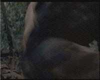 8525ba60877192d0f9b400b30c1f23d8.gif