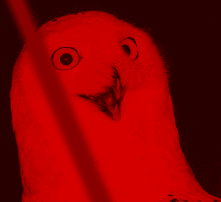 a5119e9d516dc7ba9fd71b22e21210bf.gif