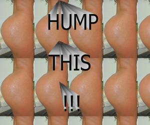 my humps