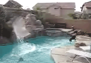 https://content.ytmnd.com/content/c/d/7/cd71c6225fd12da090d831587537ea2a.gif